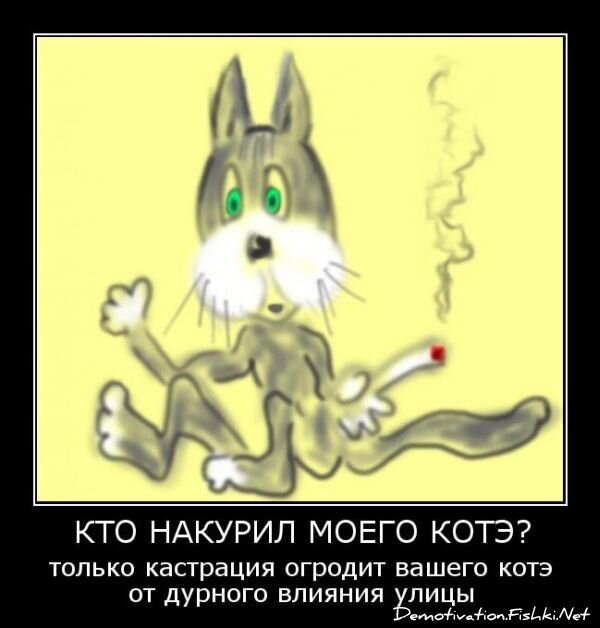 Смешной демотиватор от zubrilov за 18.06.2010 №56473