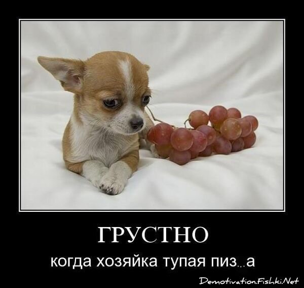 Демотиватор