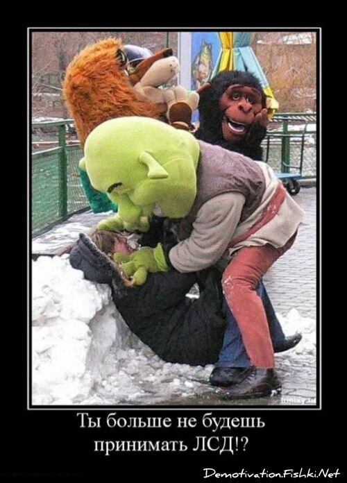 Демотиватор