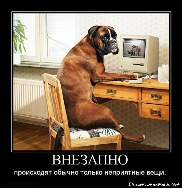 Смешной демотиватор от zubrilov за 18.06.2010 №56522