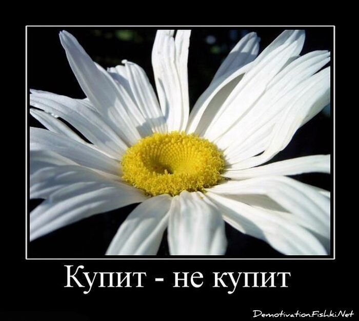 Смешной демотиватор от zubrilov за 18.06.2010 №56543