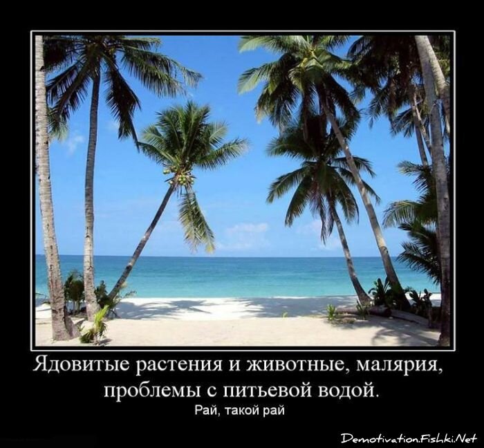 Смешной демотиватор от zubrilov за 18.06.2010 №56545