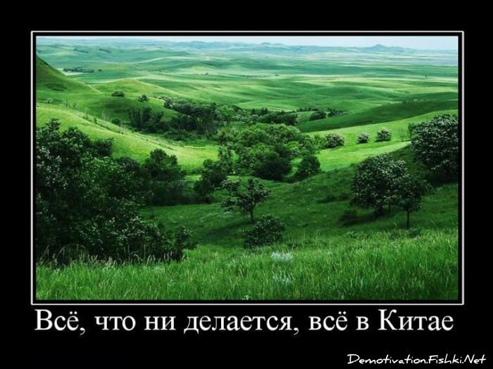 Смешной демотиватор от zubrilov за 25.06.2010 №56702