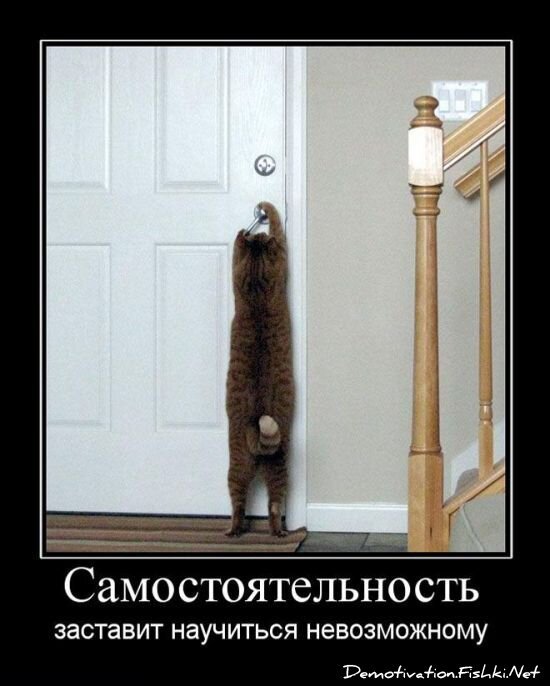 Смешной демотиватор от zubrilov за 25.06.2010 №56703