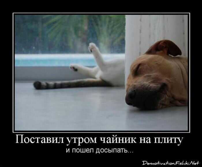 Смешной демотиватор от zubrilov за 25.06.2010 №56711