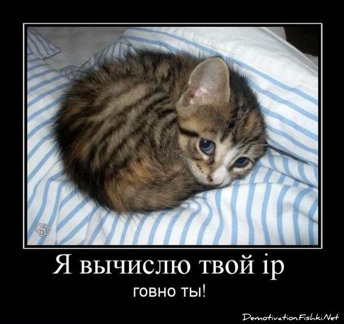 Смешной демотиватор от zubrilov за 25.06.2010 №56713