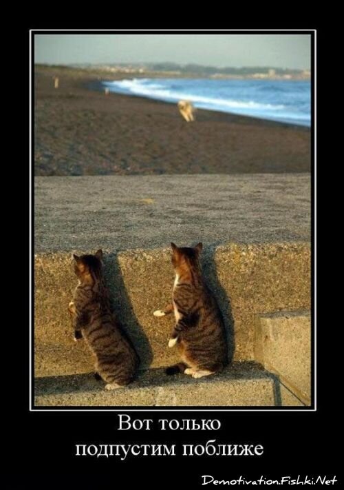 Смешной демотиватор от zubrilov за 25.06.2010 №56714