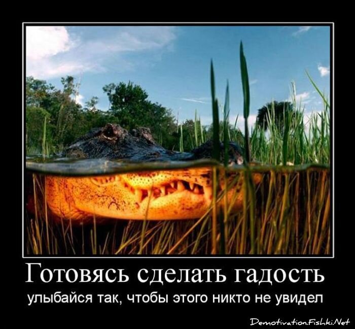 Смешной демотиватор от zubrilov за 25.06.2010 №56736