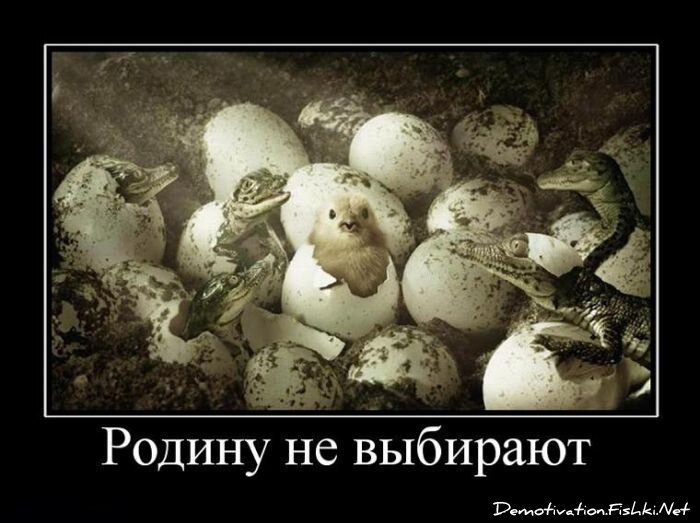 Смешной демотиватор от zubrilov за 25.06.2010 №56740