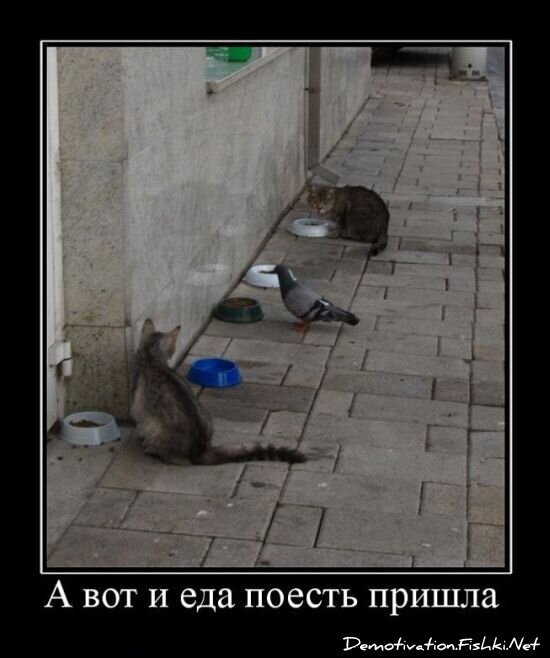 Демотиваторы часть 60