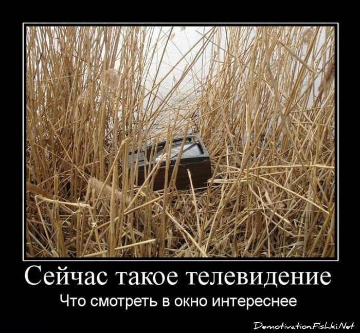 Смешной демотиватор от zubrilov за 25.06.2010 №56749