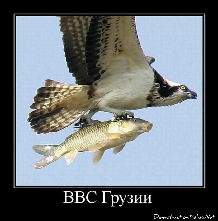 Смешной демотиватор от zubrilov за 25.06.2010 №56762