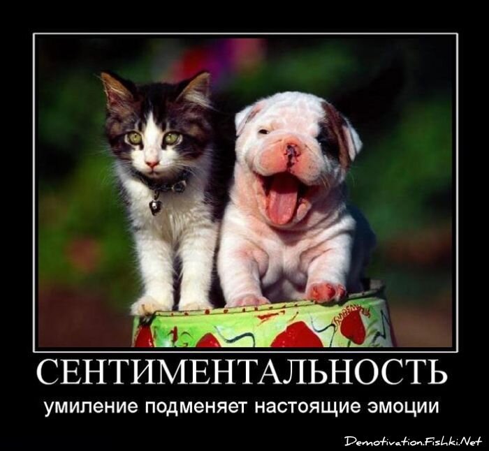 Смешной демотиватор от zubrilov за 25.06.2010 №56772