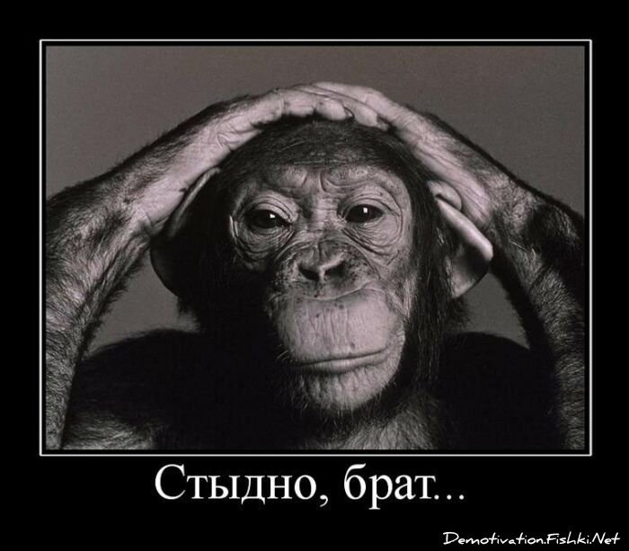 Демотиваторы часть 60