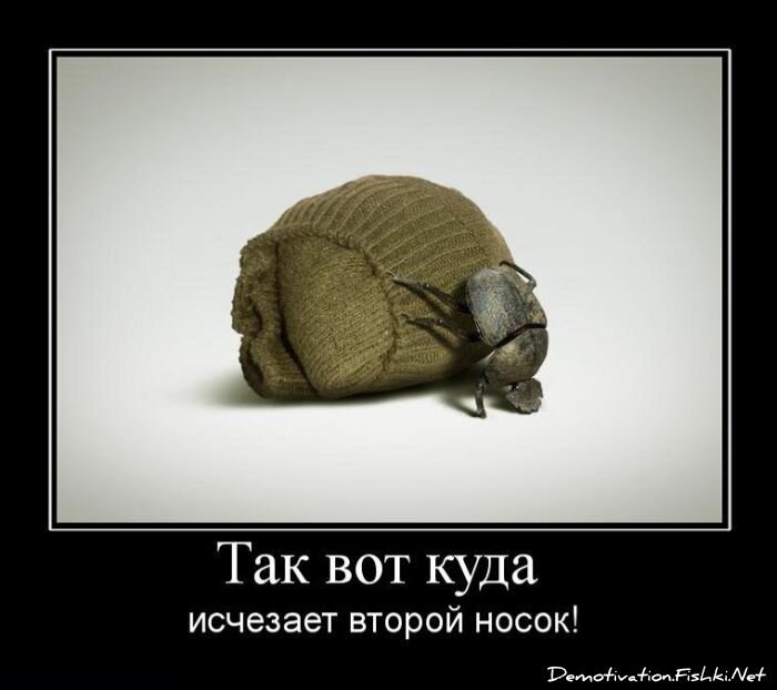 Смешной демотиватор от zubrilov за 25.06.2010 №56781