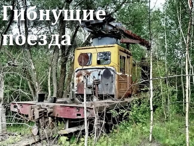 Гибнущие поезда в московской области (43 фото)