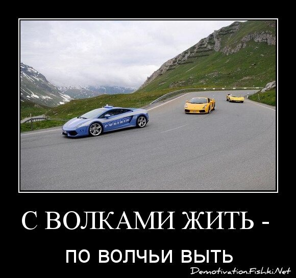 С волками жить - 