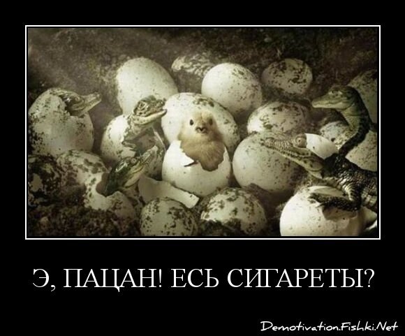 Э, пацан! Есь сигареты?