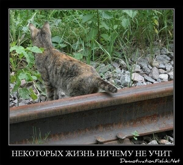 Смешной демотиватор от zubrilov за 09.07.2010 №56992
