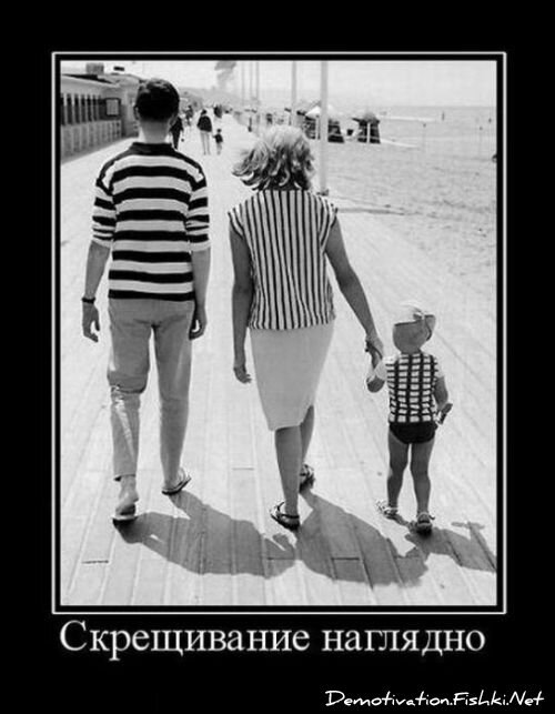 Смешной демотиватор от zubrilov за 09.07.2010 №57010