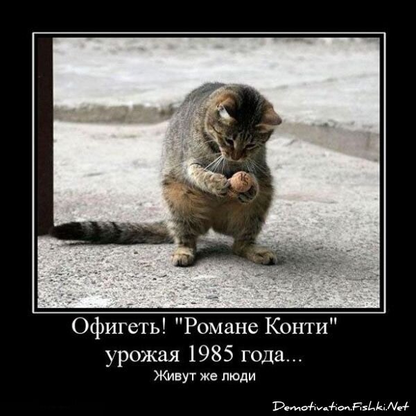 Смешной демотиватор от zubrilov за 09.07.2010 №57038