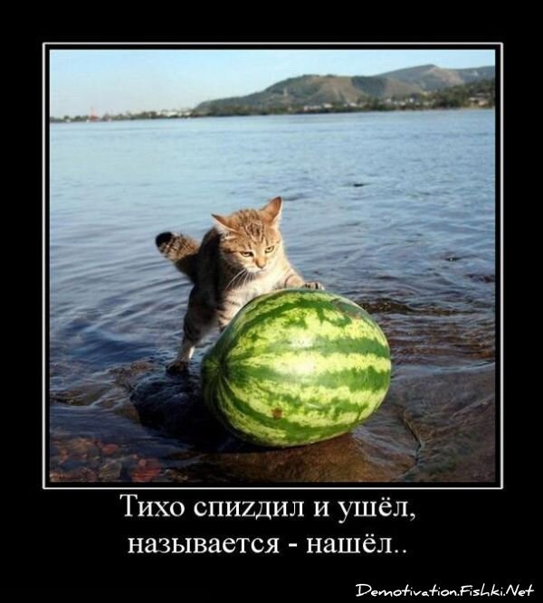 Смешной демотиватор от zubrilov за 09.07.2010 №57041