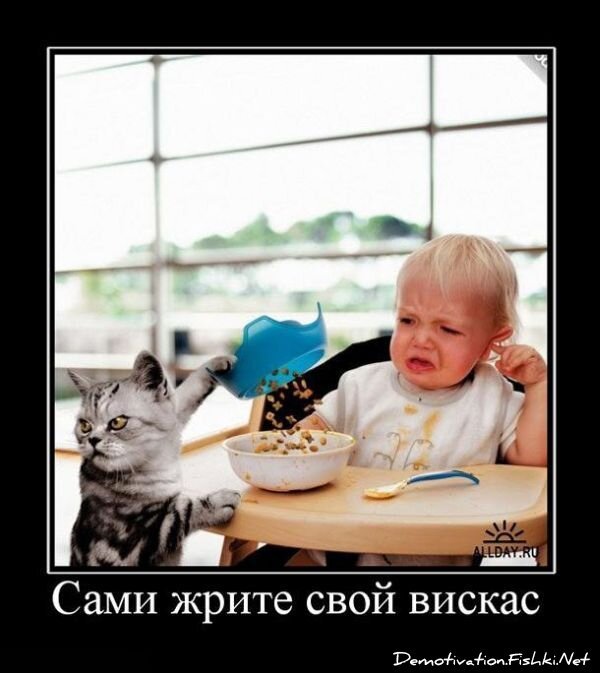 Смешной демотиватор от zubrilov за 09.07.2010 №57045