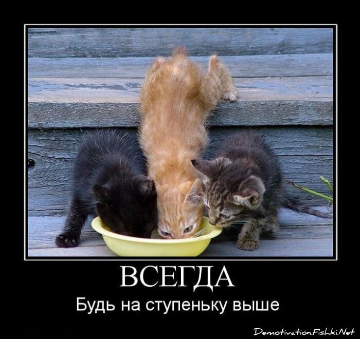 Смешной демотиватор от zubrilov за 09.07.2010 №57046