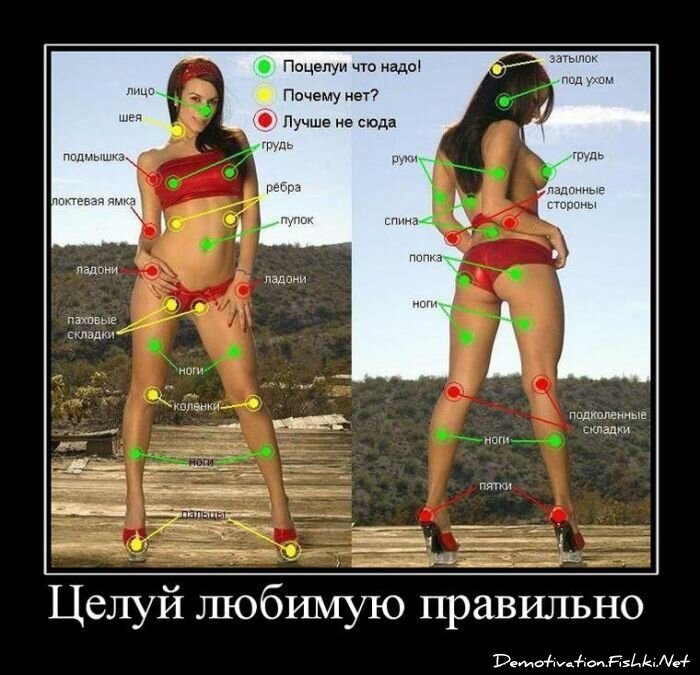 Смешной демотиватор от zubrilov за 09.07.2010 №57054