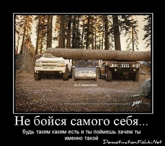 Смешной демотиватор от zubrilov за 09.07.2010 №57061