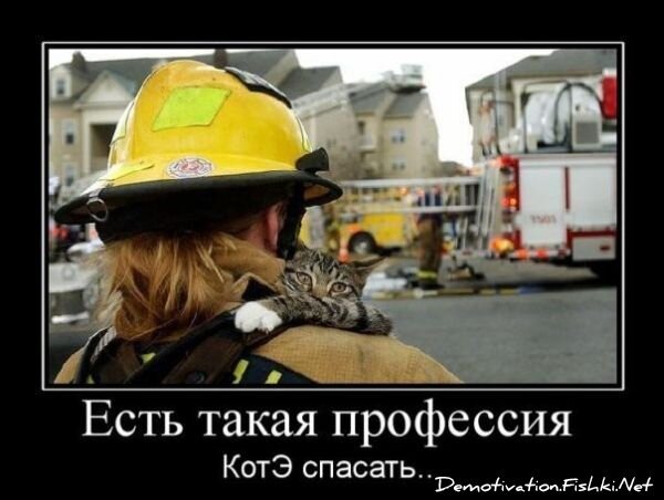 Смешной демотиватор от zubrilov за 09.07.2010 №57062