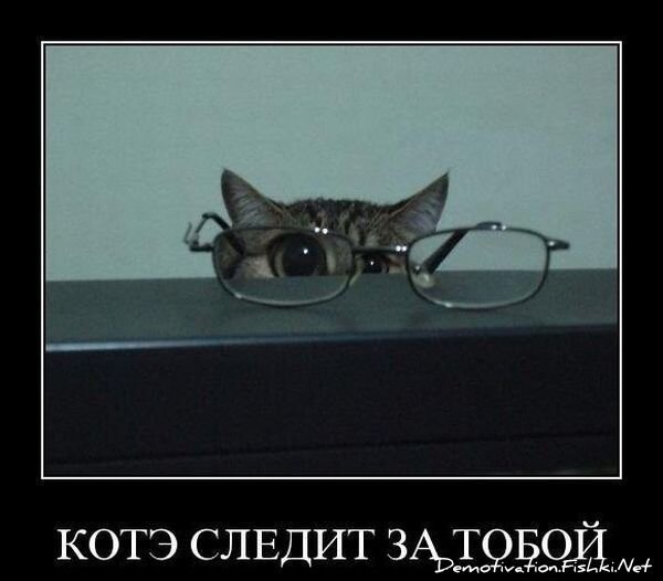 Смешной демотиватор от zubrilov за 09.07.2010 №57068