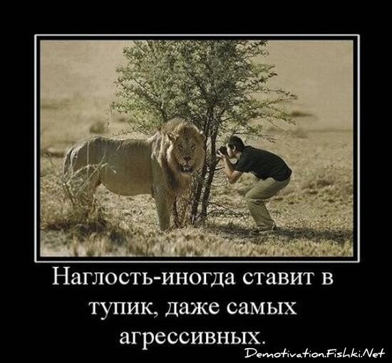 Смешной демотиватор от zubrilov за 09.07.2010 №57069