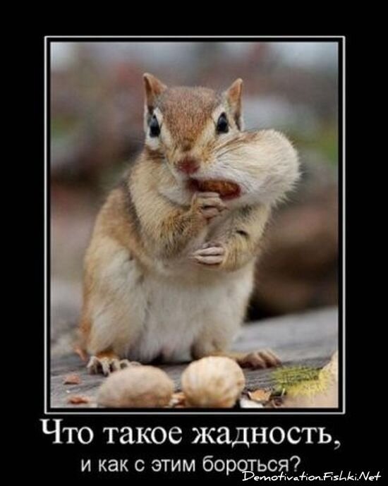 Смешной демотиватор от zubrilov за 09.07.2010 №57070