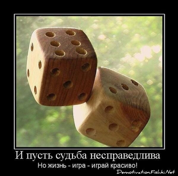 Смешной демотиватор от zubrilov за 09.07.2010 №57076