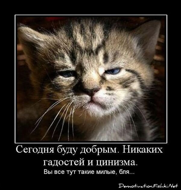 Смешной демотиватор от zubrilov за 09.07.2010 №57081
