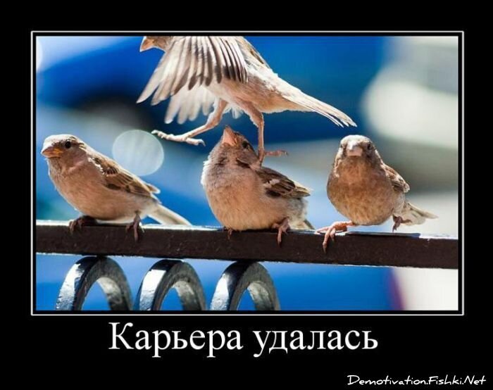 Демотиваторы, часть 61 (120 фото)