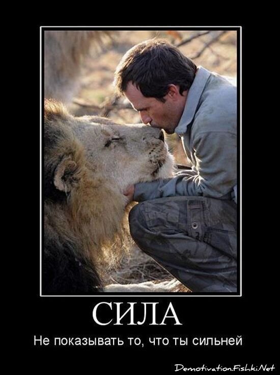 Демотиваторы, часть 63 (129 фото)
