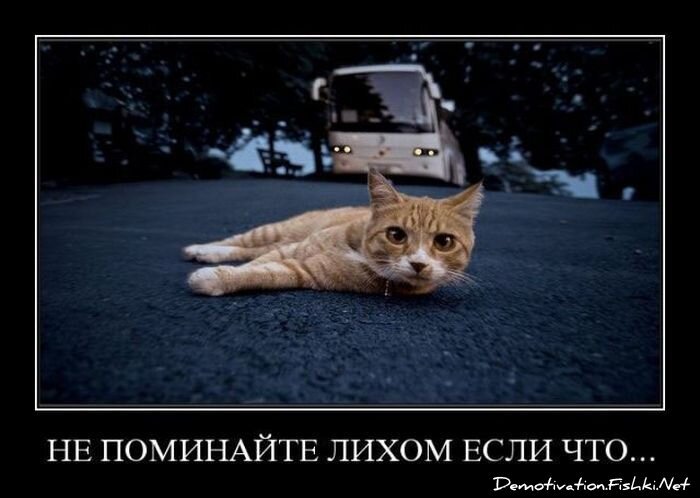 Смешной демотиватор от zubrilov за 16.07.2010 №57133