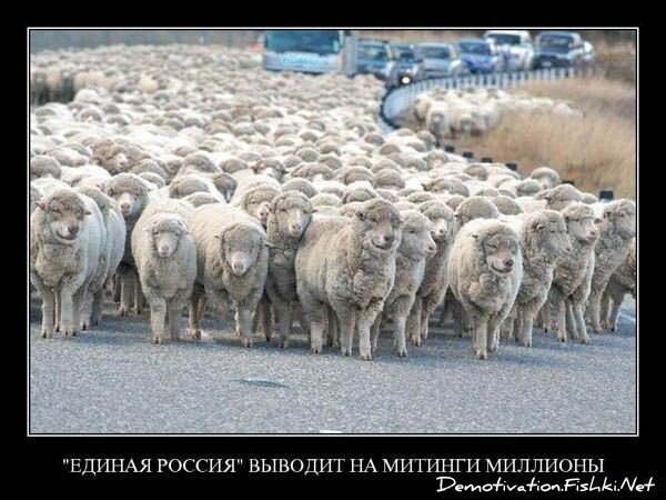 Смешной демотиватор от zubrilov за 16.07.2010 №57134