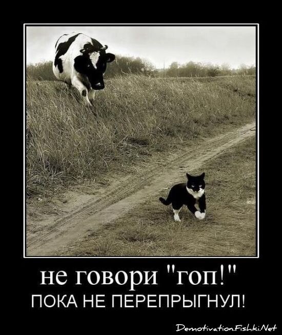 Смешной демотиватор от zubrilov за 16.07.2010 №57140