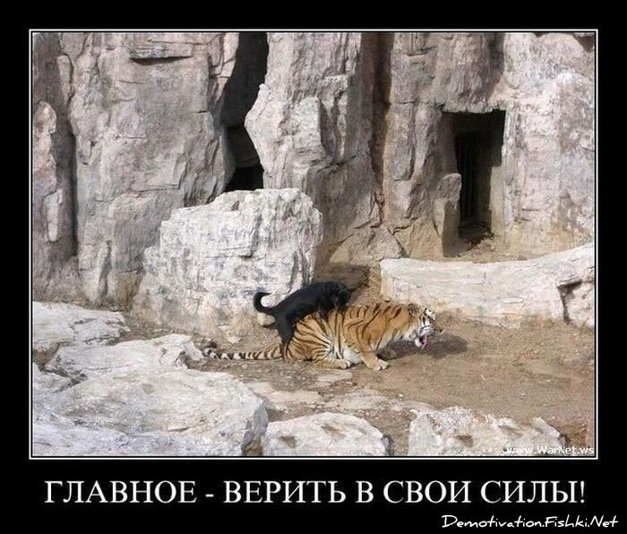 Смешной демотиватор от zubrilov за 16.07.2010 №57142