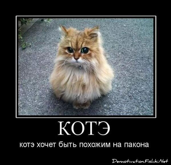 Смешной демотиватор от zubrilov за 16.07.2010 №57150