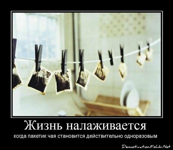 Смешной демотиватор от zubrilov за 16.07.2010 №57167