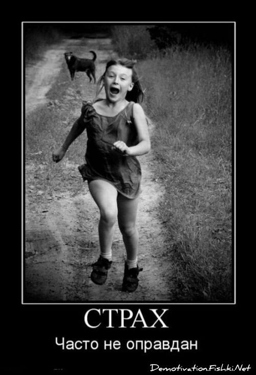 Смешной демотиватор от zubrilov за 16.07.2010 №57170