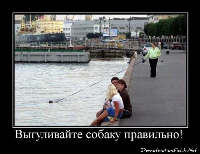 Смешной демотиватор от zubrilov за 16.07.2010 №57171