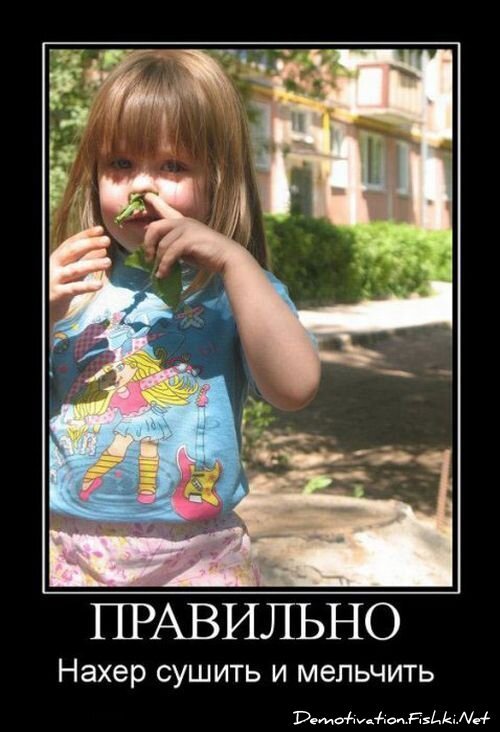 Смешной демотиватор от zubrilov за 16.07.2010 №57173