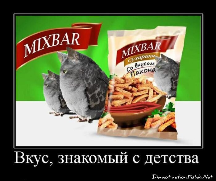 Смешной демотиватор от zubrilov за 16.07.2010 №57181