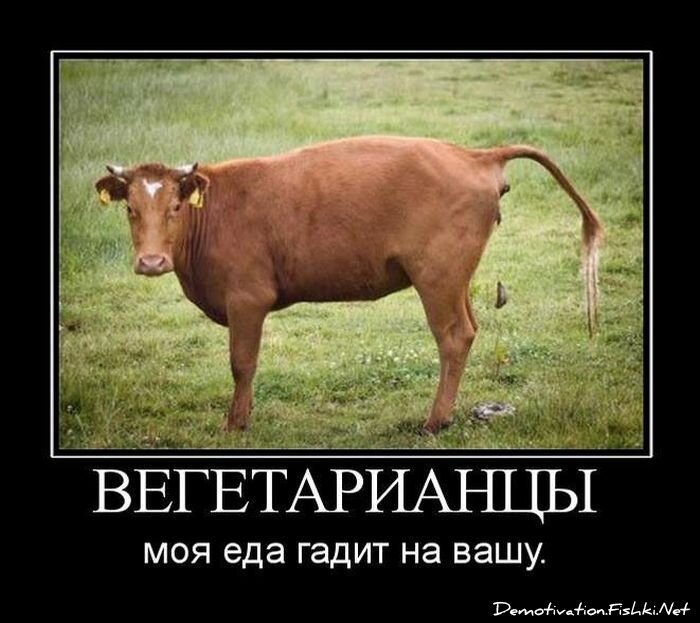 Демотиваторы, часть 63 (129 фото)