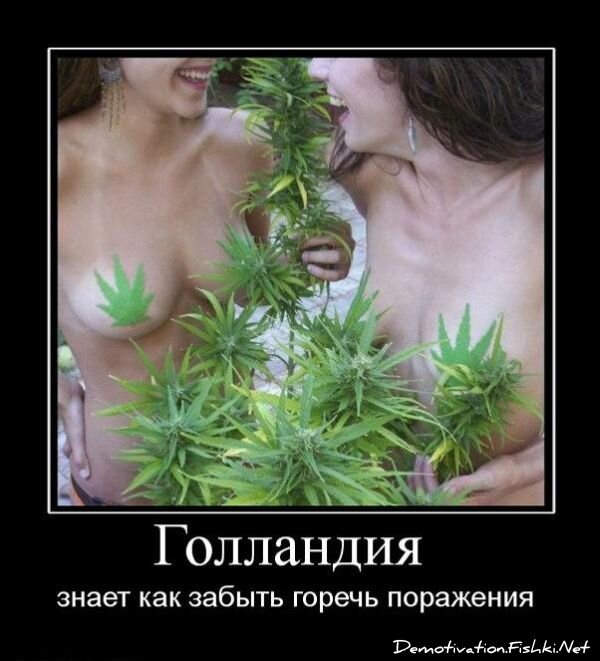 Смешной демотиватор от zubrilov за 16.07.2010 №57190